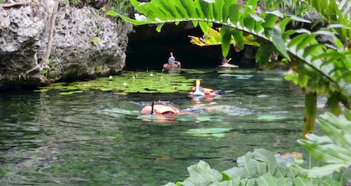 Snorkel cenote sac actun