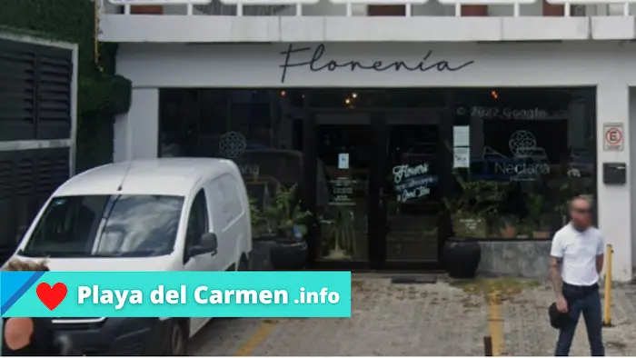 Florerías Playa del Carmen envíos a domicilio