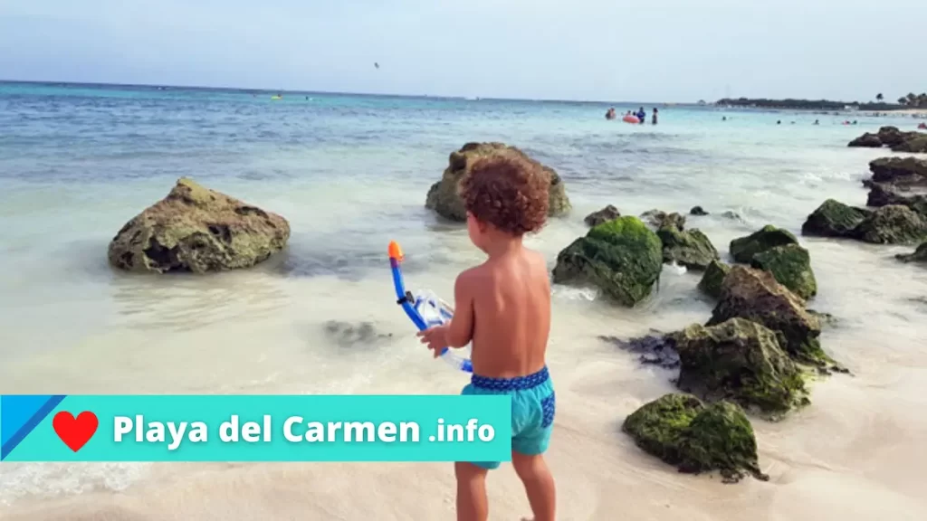 3 Actividades Divertidas y Gratuitas para Niños en Playa del Carmen